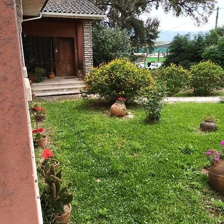 Vivenda Do Sobreiro Al Apartman Serpins Kültér fotó