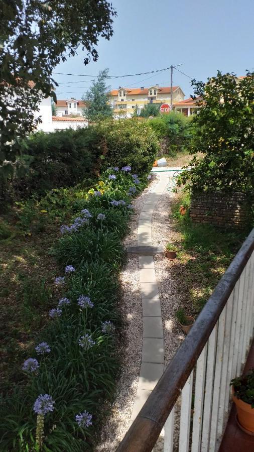 Vivenda Do Sobreiro Al Apartman Serpins Kültér fotó