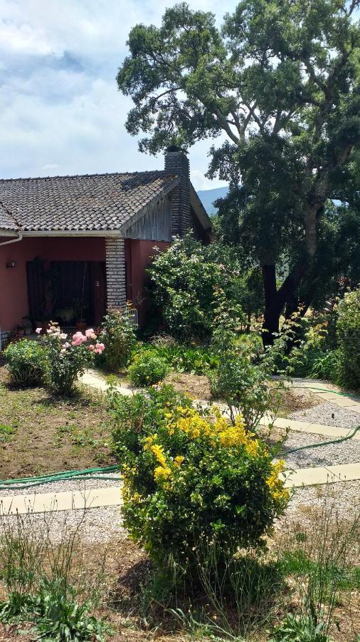 Vivenda Do Sobreiro Al Apartman Serpins Kültér fotó