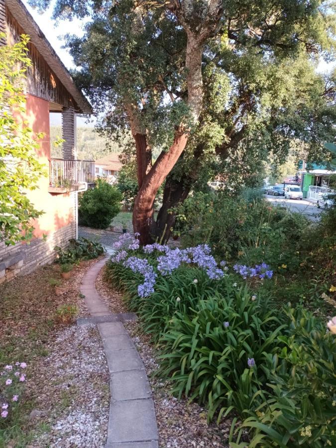 Vivenda Do Sobreiro Al Apartman Serpins Kültér fotó